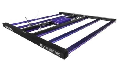 Cheap Led Grow Lights