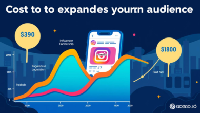 Understanding the Cost of Instagram Audience Expansion